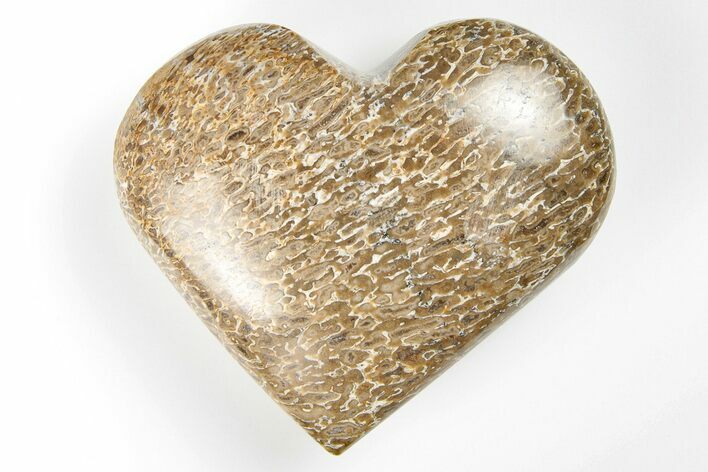 Polished Dinosaur Bone (Gembone) Heart - Morocco #198468